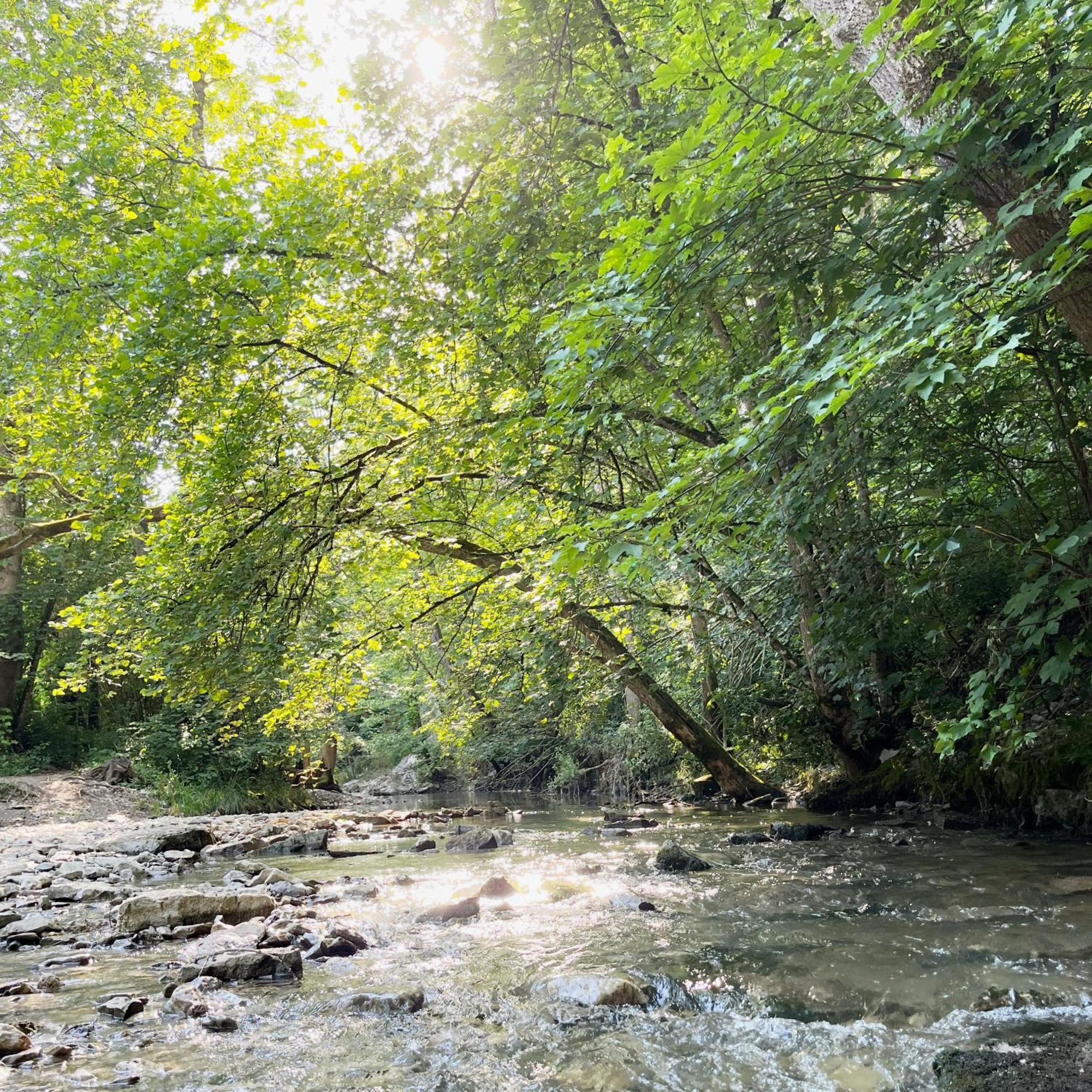 רוטנבורג אוב דר טאובר Tauberchalet I Boutique-Ferienhaus Mit Sauna, Whirlpool & Natur I 10Min Walk To Historic Old Town מראה חיצוני תמונה